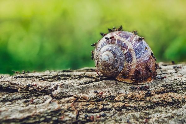 Zdrowie i czystość domu – jak skutecznie walczyć z insektami?