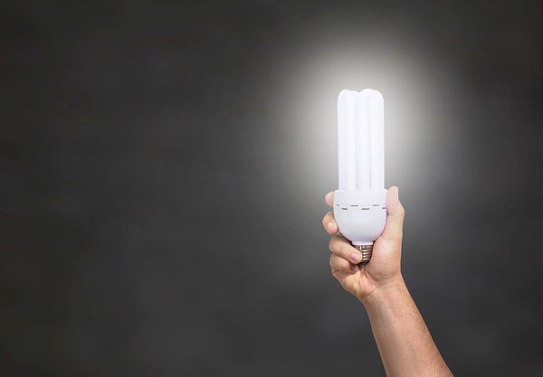 Zalety stosowania lamp owadobójczych: praktyczna pomoc w walce z intruzami